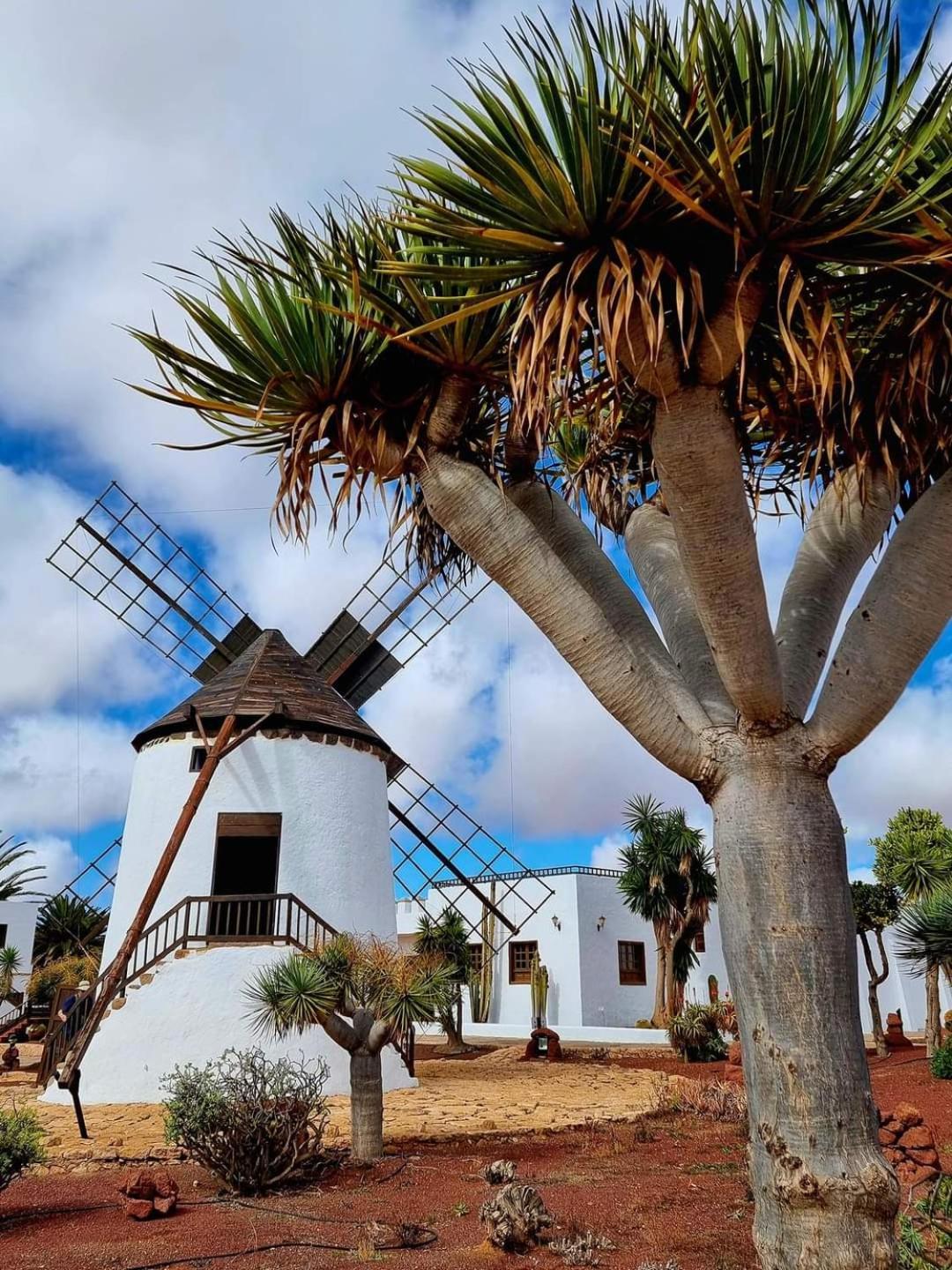 Casa Del Mar Air-Conditioned Apartment With Swimming Pools - Corralejo Playa Esterno foto
